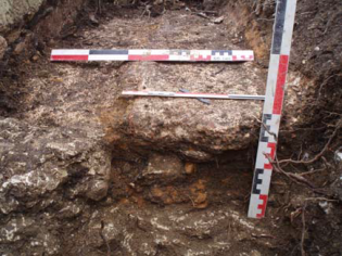 Cliché 2 – hérisson et fond du premier conduit à droite.