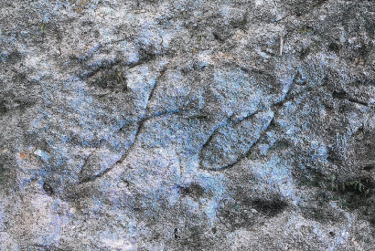 Découverte des poissons paléochrétiens par Gérard Couprie - Photo Fabrice Schäck