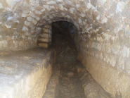 Plantis des Neuf Puits