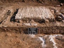 Cliché 12 – Regard AO 311, n°1